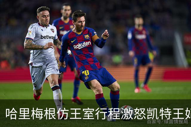 哈里梅根仿王室行程激怒凯特王妃，多年积怨爆发，坚持先问责