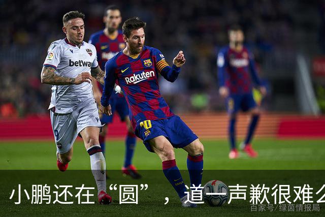 小鹏还在“圆”，道一声歉很难么