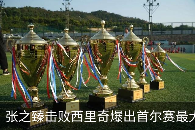张之臻击败西里奇爆出首尔赛最大冷门，德约披露出战巴塞尔原因