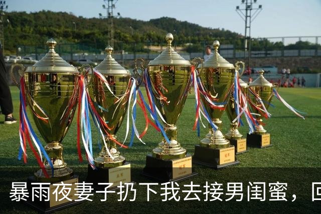 暴雨夜妻子扔下我去接男闺蜜，回家撞见红酒和口红印，我提离婚