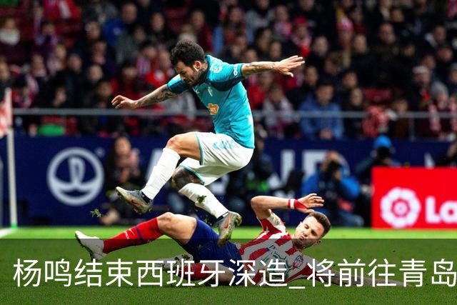 杨鸣结束西班牙深造 将前往青岛观摩男篮集训