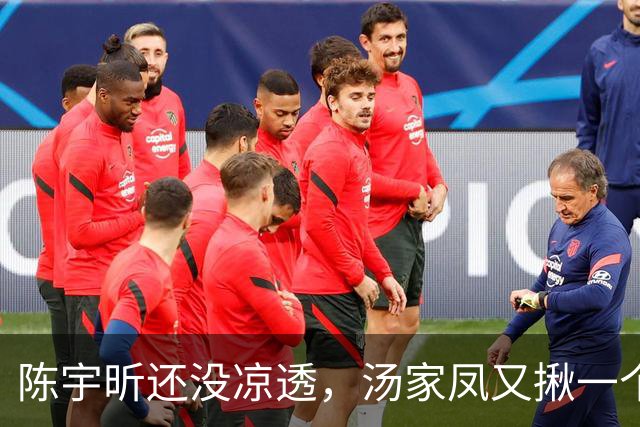 陈宇昕还没凉透，汤家凤又揪一个“精日”人员：竟然还是公司老板
